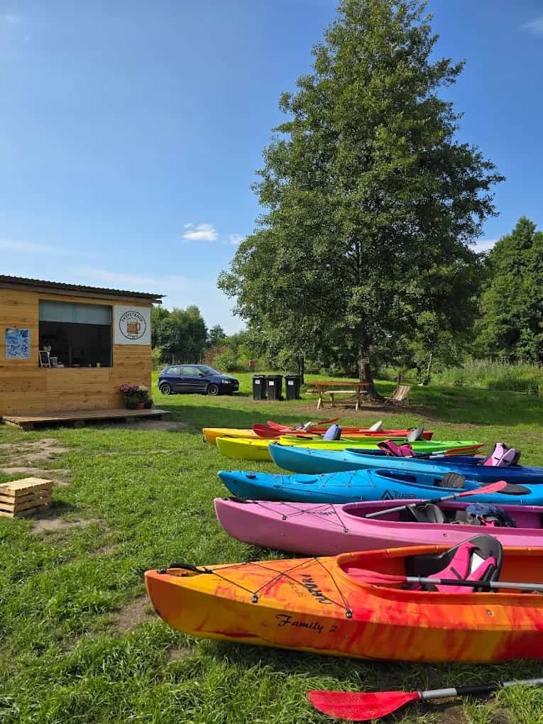 Pole namiotowe Pod Świerkiem w Wywłoczce koło Zwierzyńca